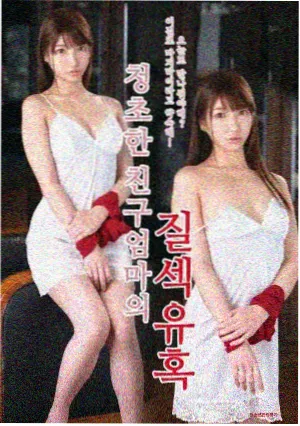 雾港纪事剧集封面